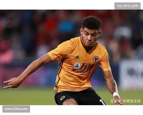 英超球迷组织如何推动英超文化的全球传播与本土影响力的提升 英超球迷组织如何推动英超文化的全球传播与本土影响力的提升