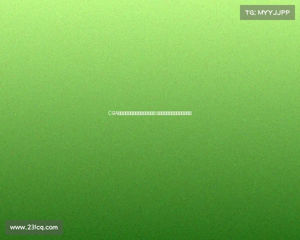 CBA主场氛围解析：球迷热情助力球队 战术执行与主场文化的完美融合